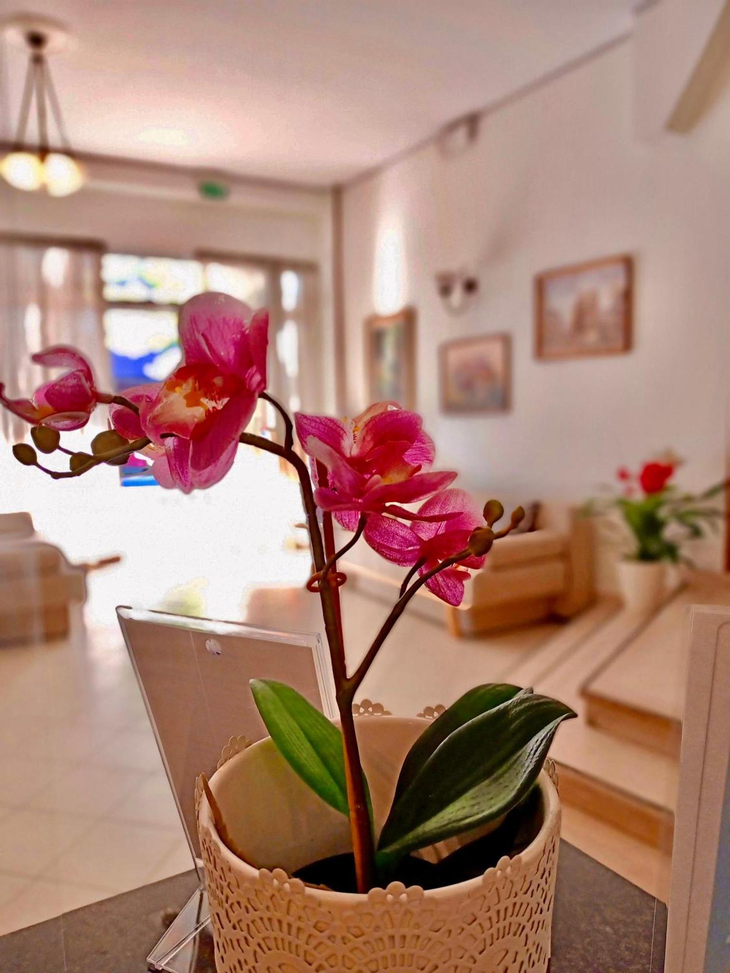 Hotel Rossella Rimini Bagian luar foto